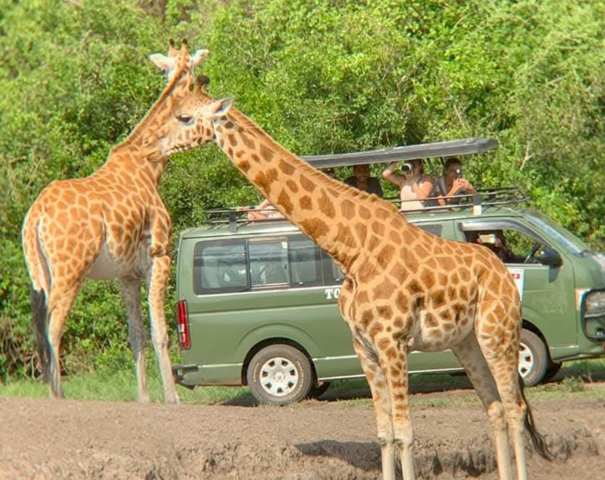 12 Days Best Of Uganda
