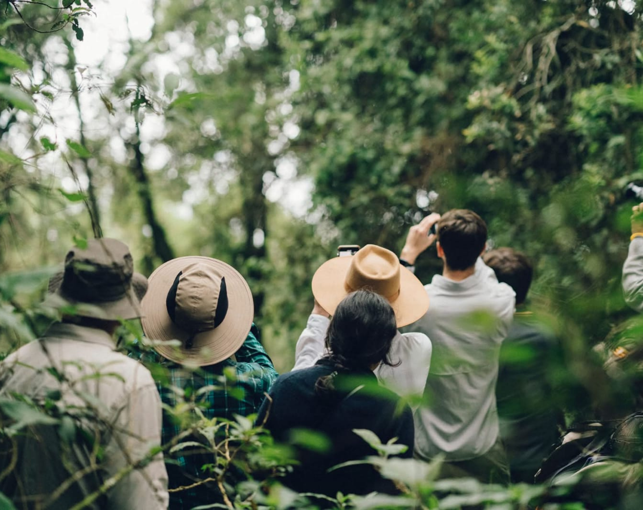 3 Days Gorrilla Trekking Safari