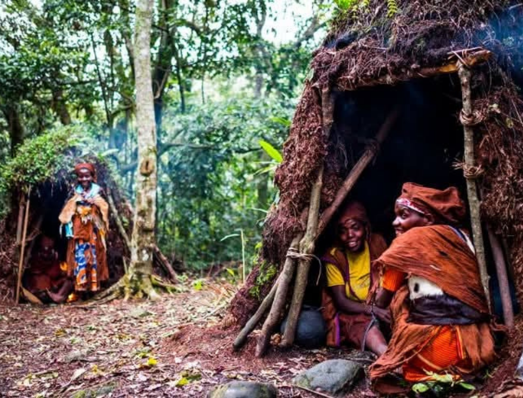 3 Days Gorrilla Trekking Safari