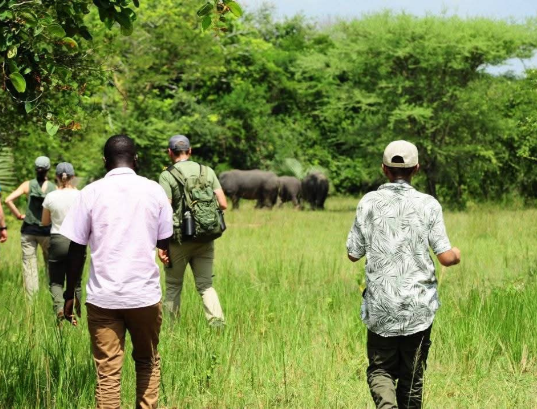 Murchison Falls & Ziwa Rhino Sanctuary