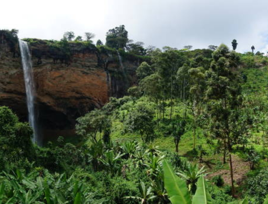 5 Days Mount Elgon Sasa Trail