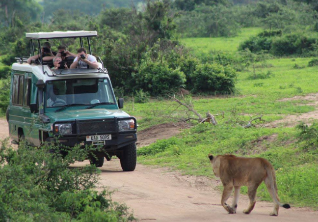 Uganda Safari – Gorillas, Wildlife & Lake Bunyonyi Escape