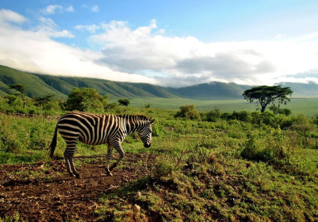 10 Days Tanzania Budget Camping Safari
