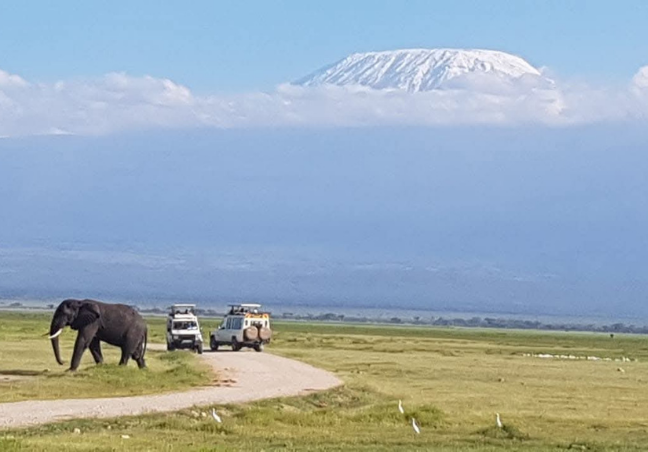 Amboseli Budget Safari