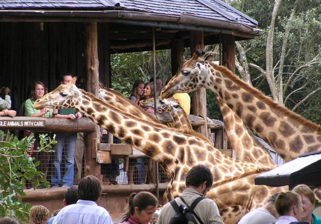 Nairobi City Tour
