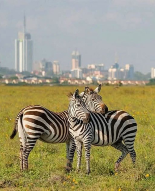 Nairobi City Tours
