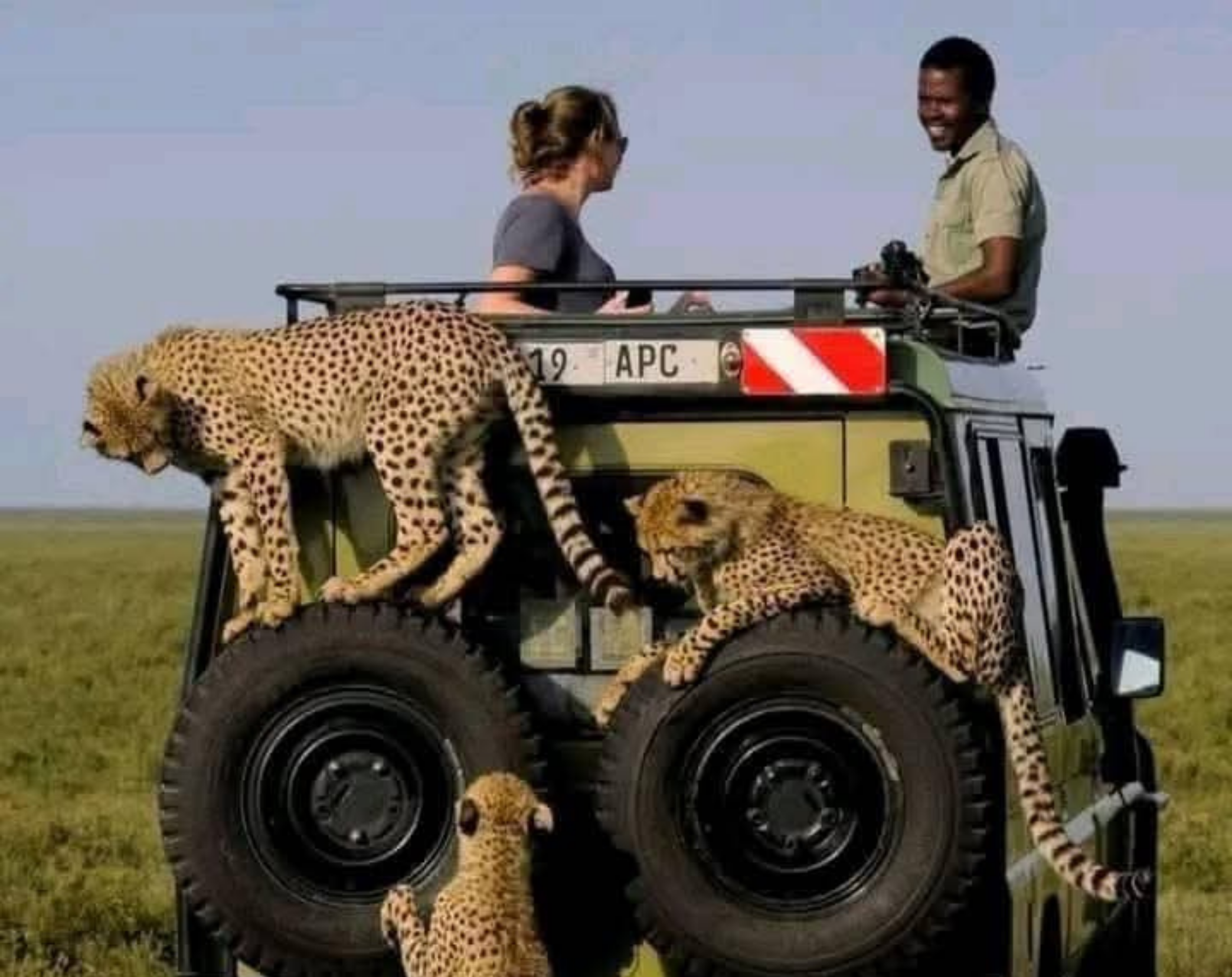 10 Days Tanzania Luxury Safari