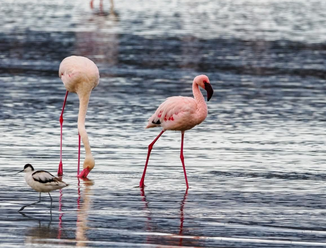 12 Days Explore Kenya Budget Safari