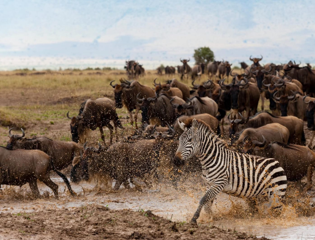 12 Days Explore Kenya Budget Safari