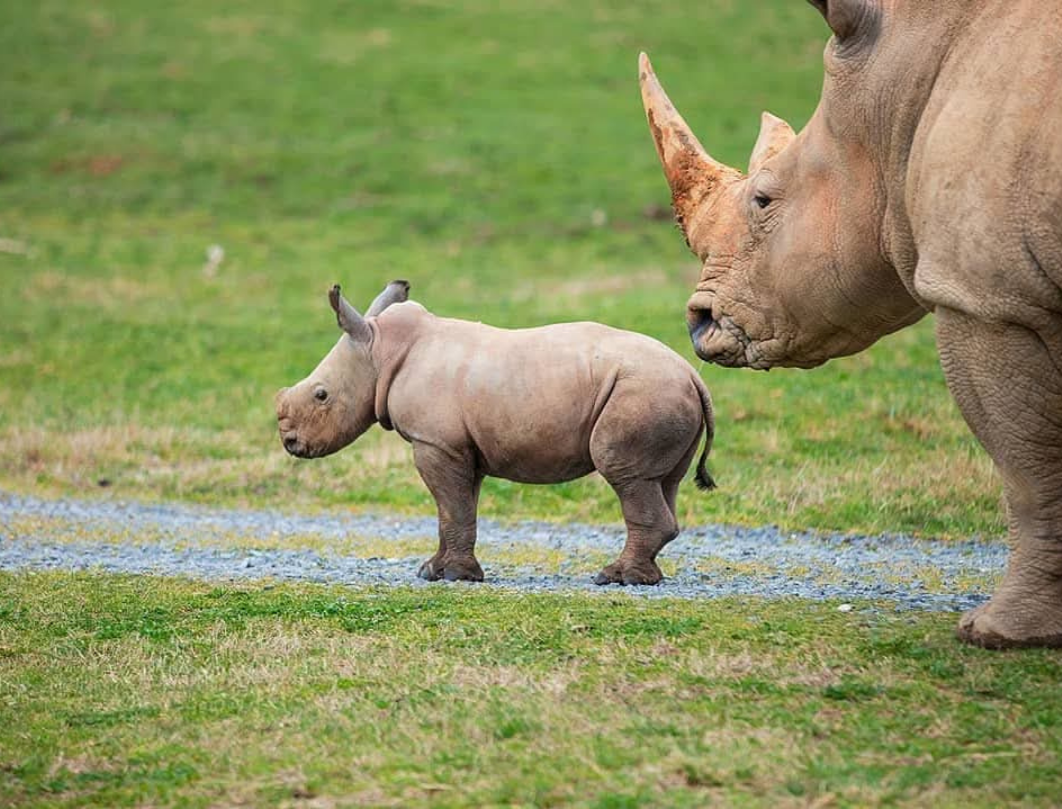 13 Days Explore Kenya Budget Safari