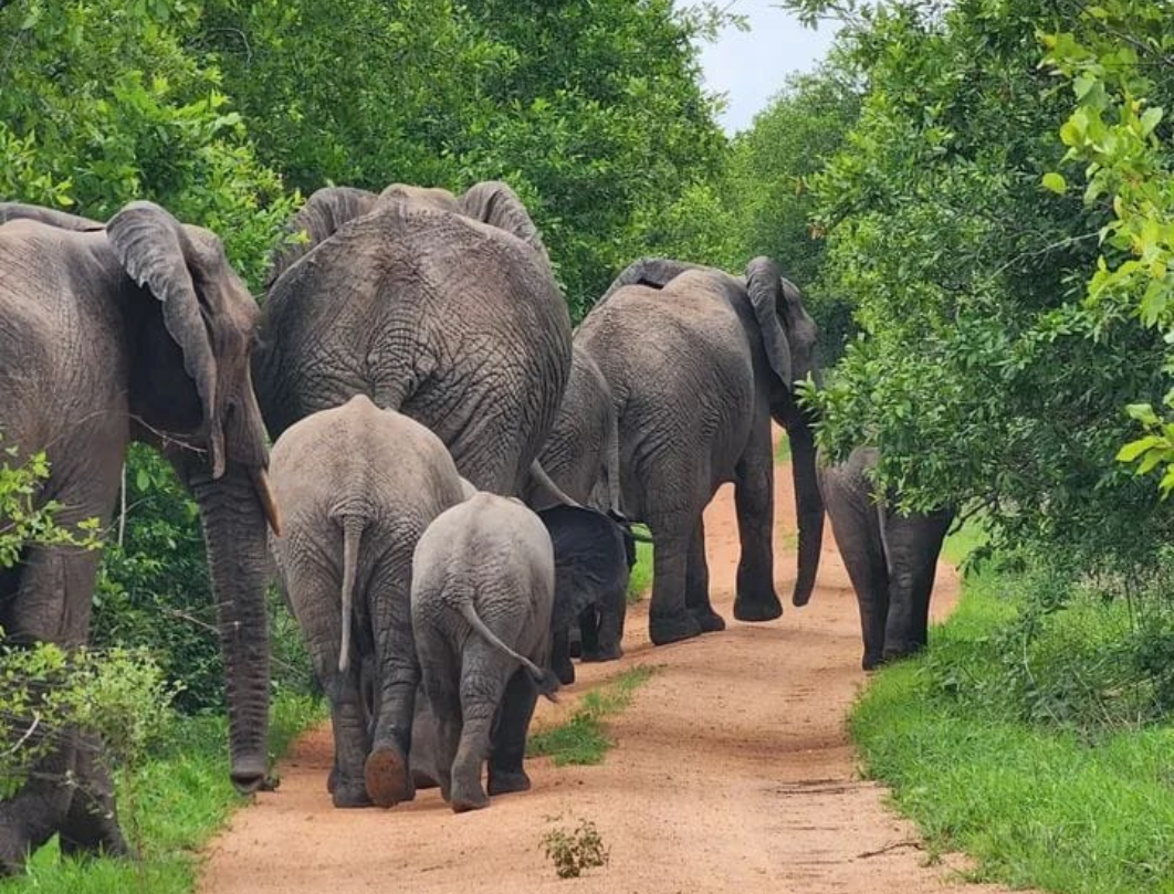 13 Days Tanzania Private Safari