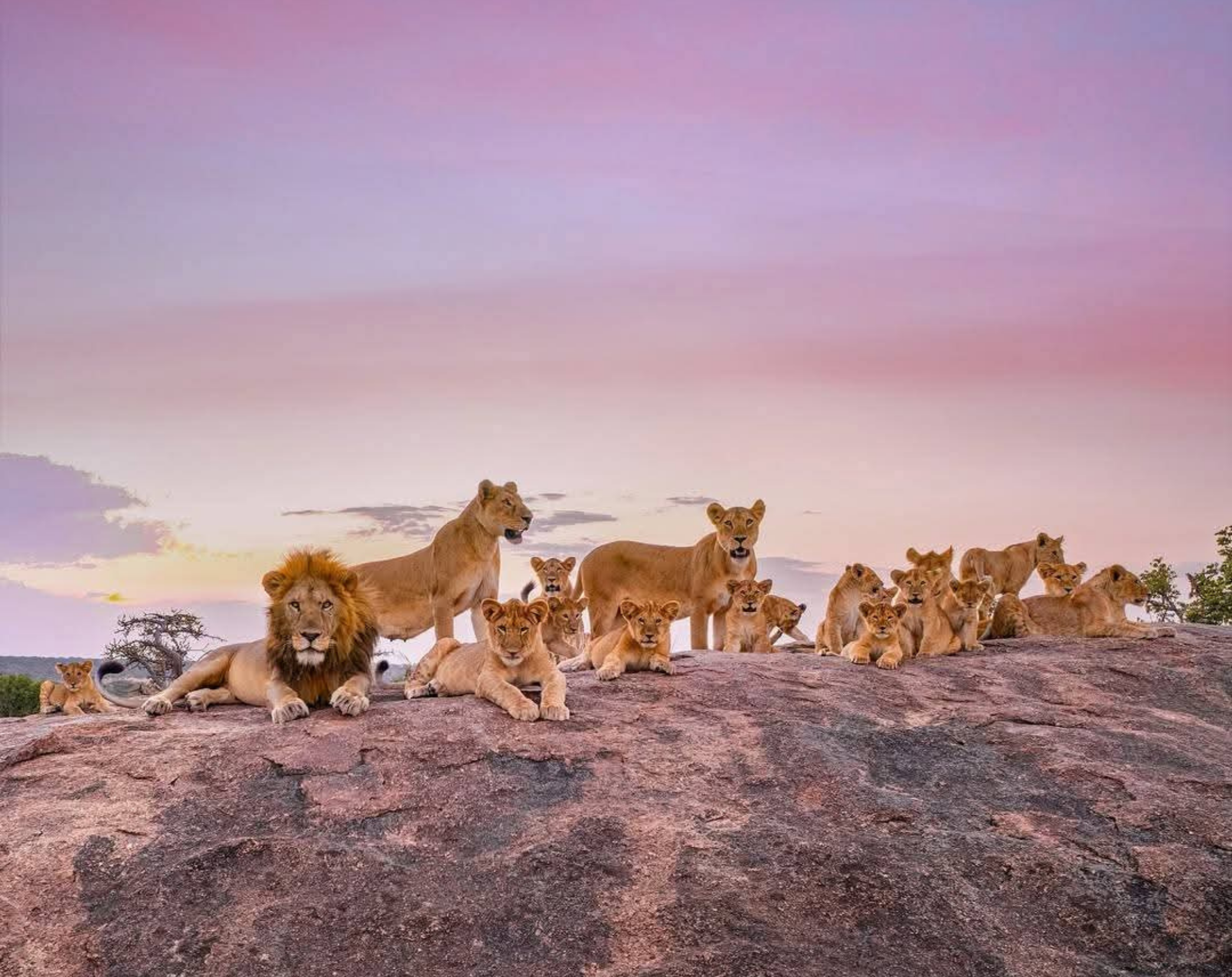 14 Days Tanzania Honeymoon Safari