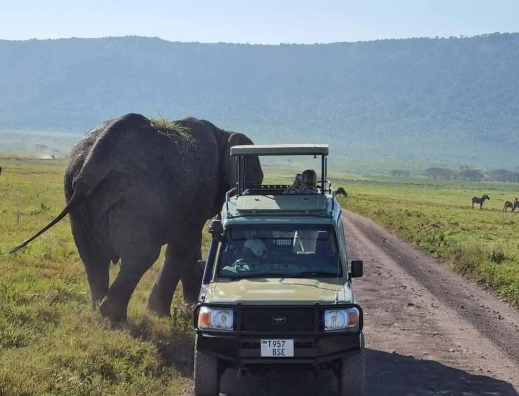 2 Days Tanzania Budget Camping Safari