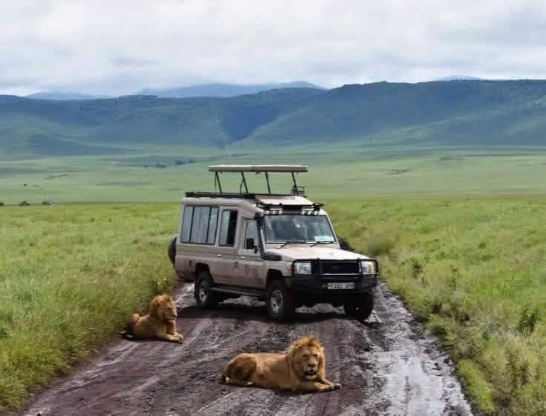 2 Days Tanzania Private Safari
