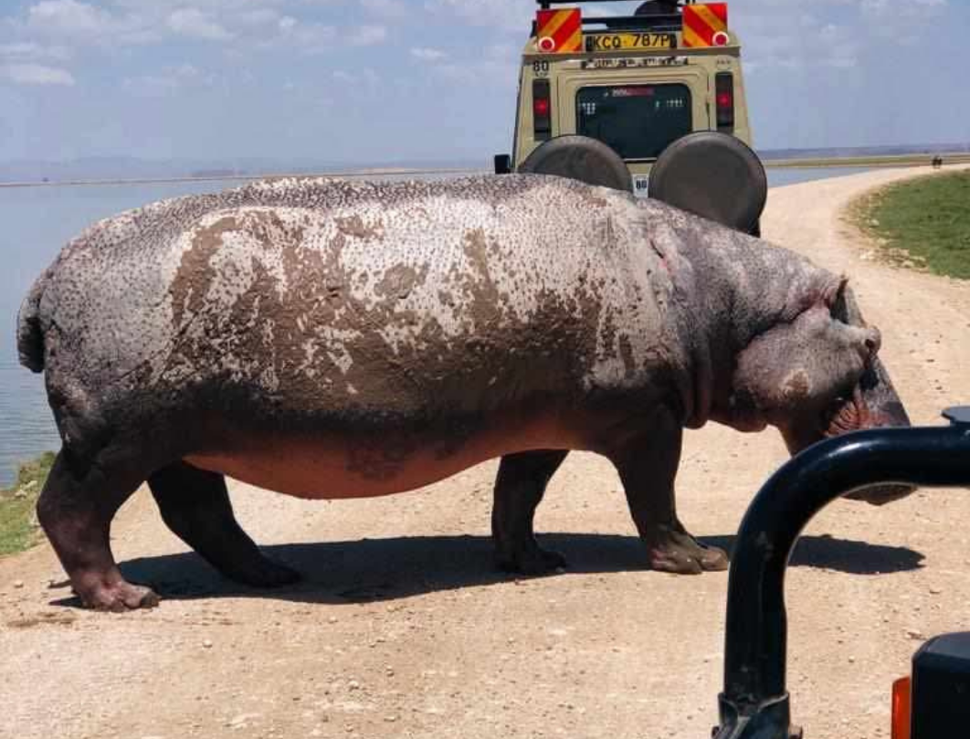 3 Days Amboseli Budget Safari