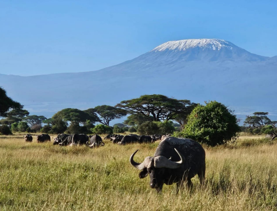 3 Days Amboseli Budget Safari