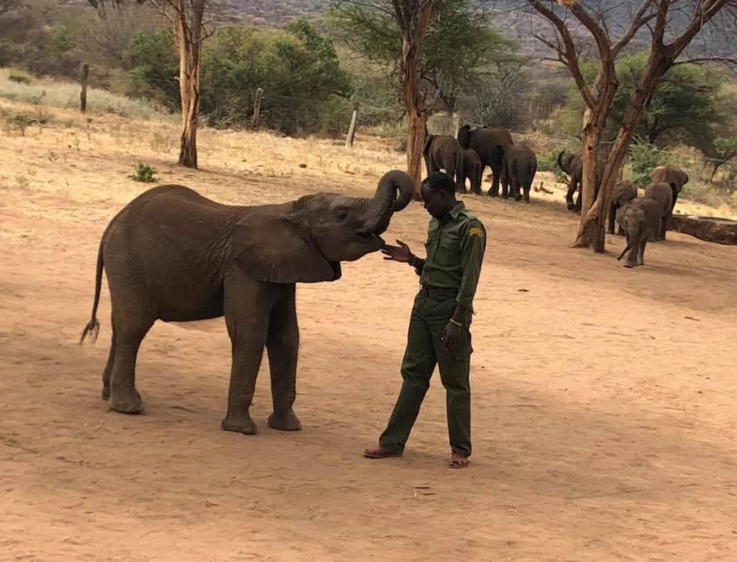 Samburu Budget Safari 