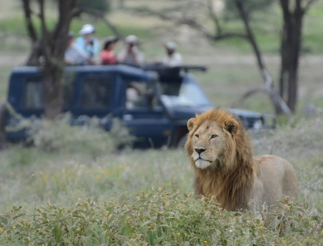 3 Days Tanzania Luxury Safari