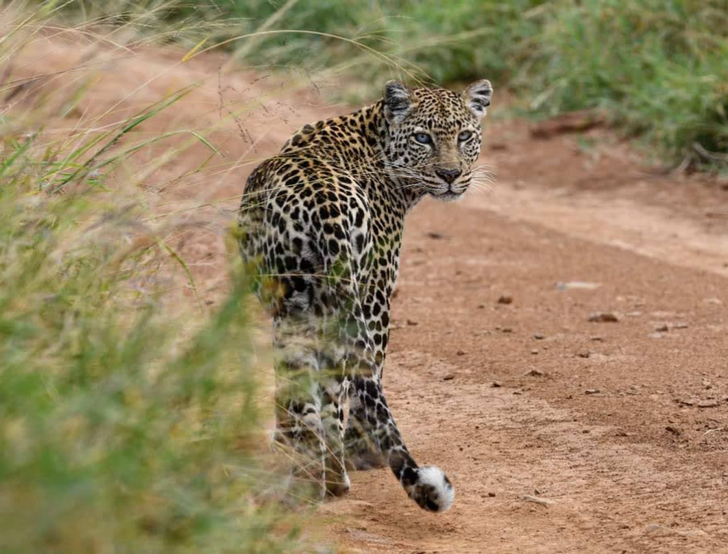 4 Days Maasai Mara Budget Safari 