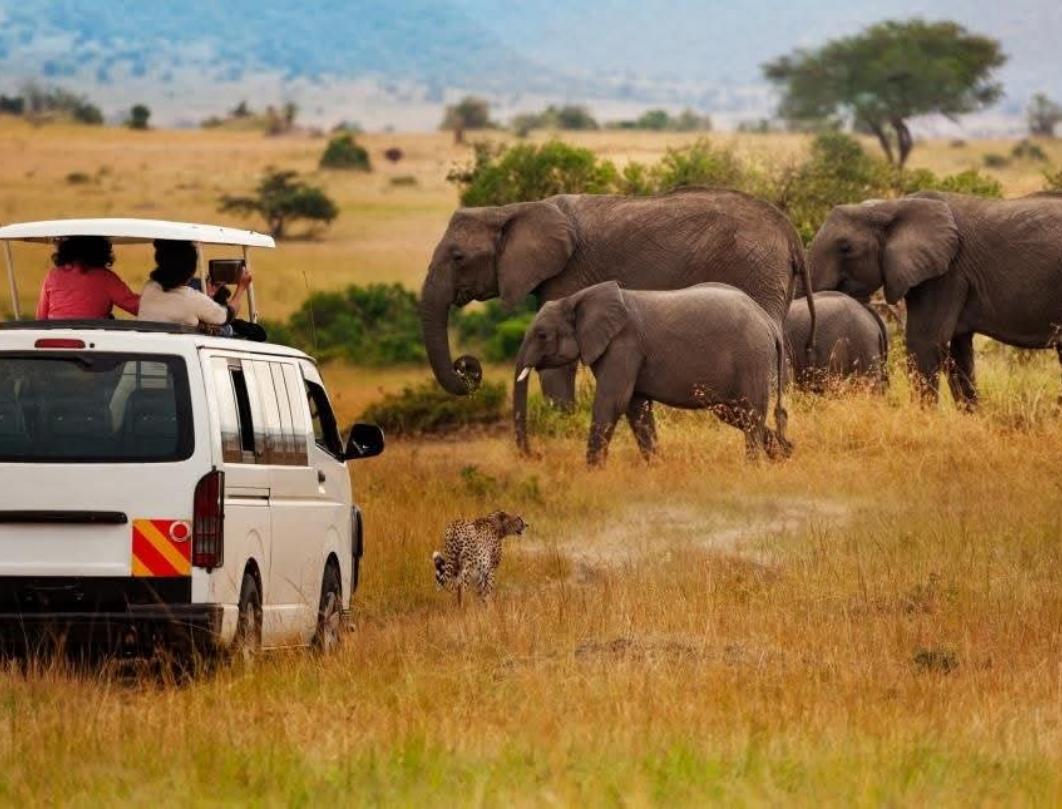 Maasai Mara,Nakuru,Naivasha Budget Safari
