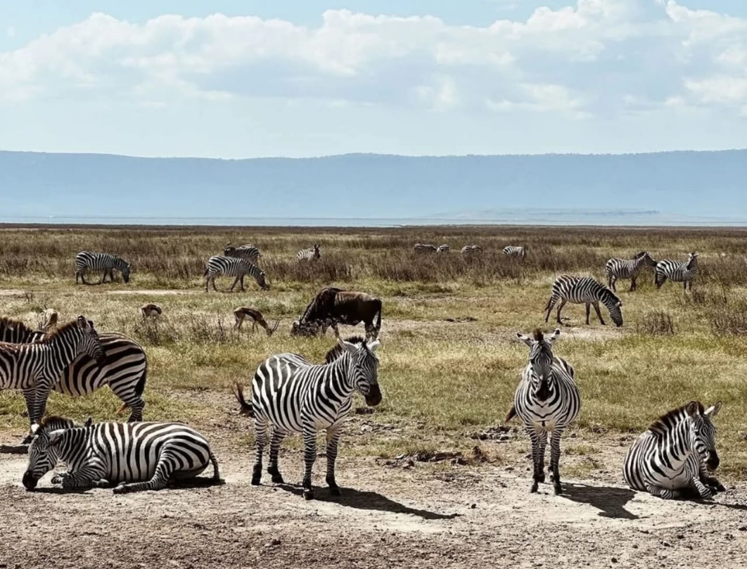 5 Days Tanzania Budget Camping Safari