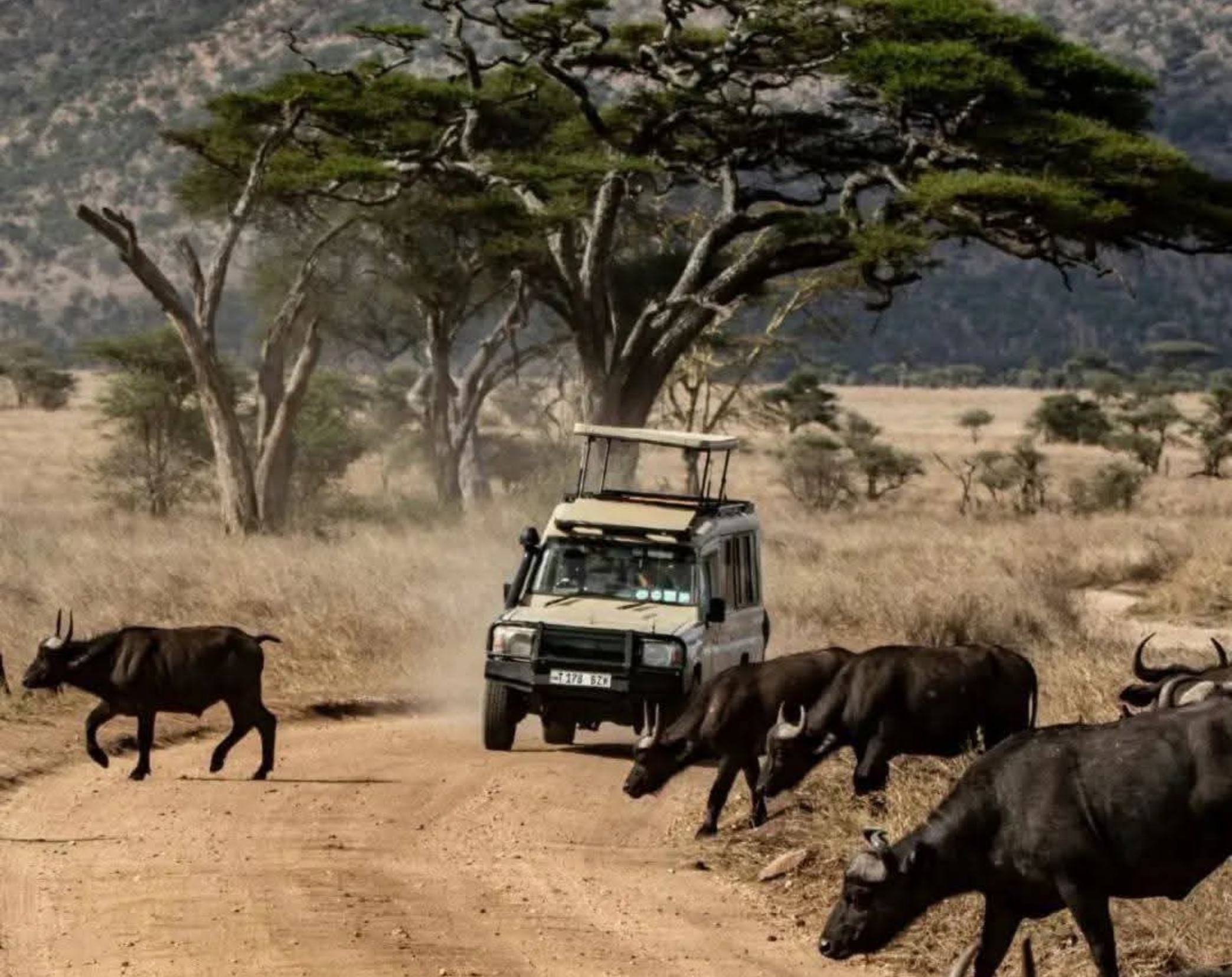 5 Days Tanzania Honeymoon Safari