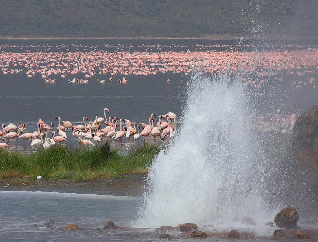 6 Days Maasai Mara & Great Lakes Budget Safari