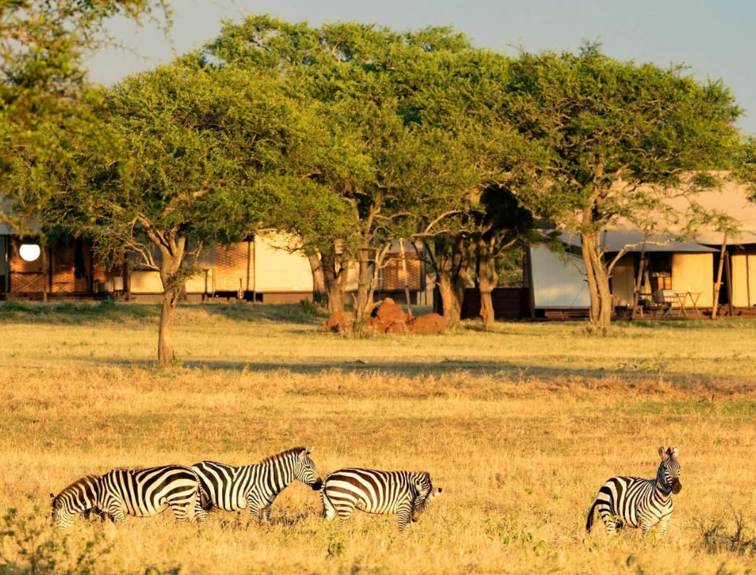 6 Days Tanzania Honeymoon Safari