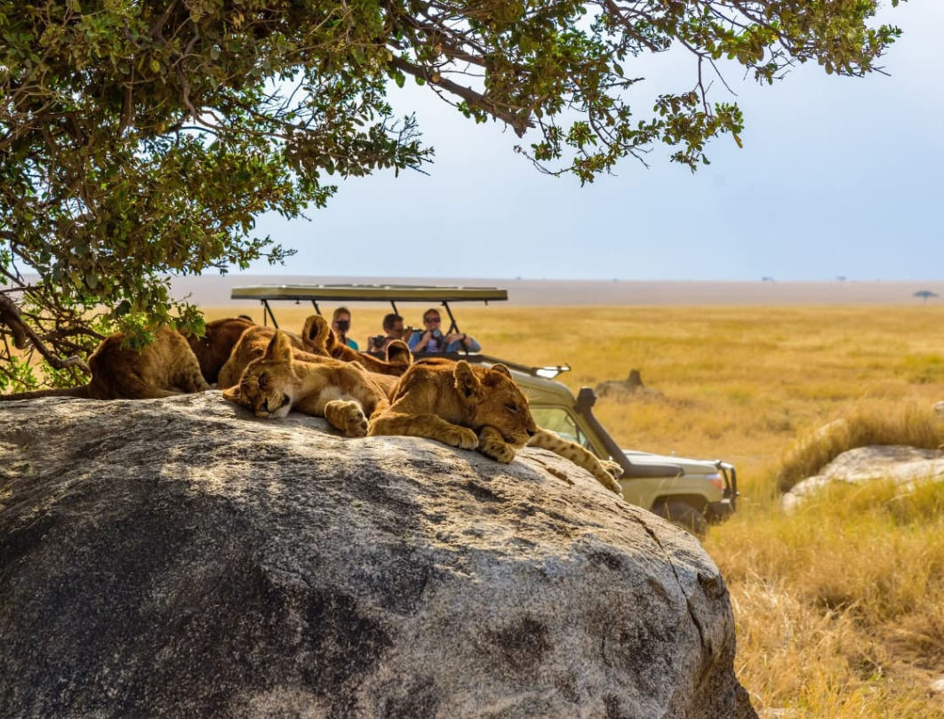 6 Days Tanzania Luxury Safari
