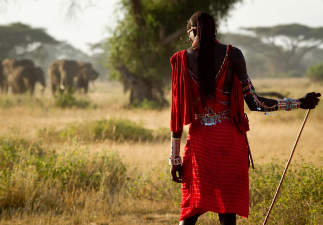 7 Days Maasai Mara & Amboseli Budget Safari