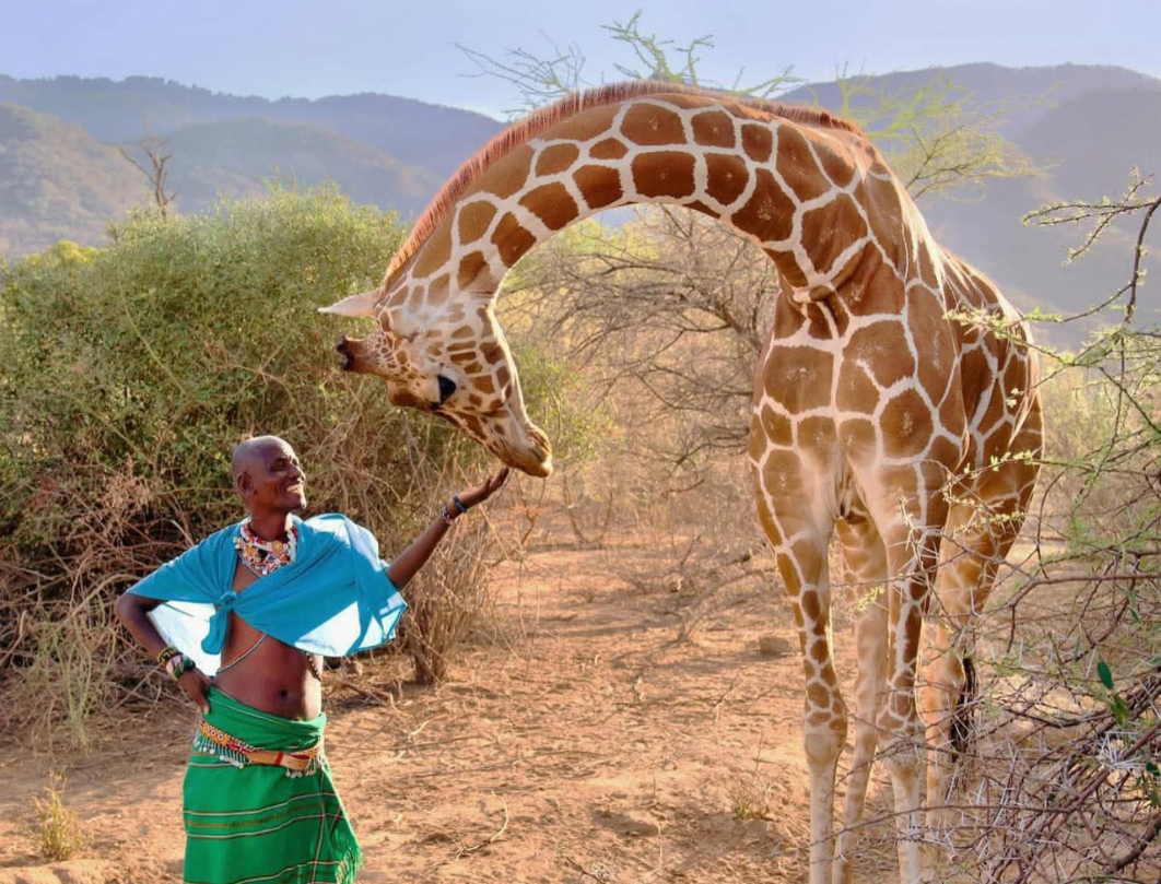 7 days samburu cultural safari 