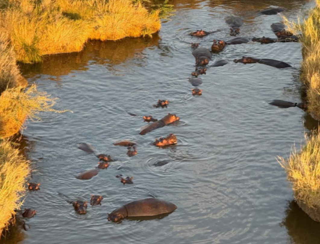 7 Days Tanzania Budget Camping Safari