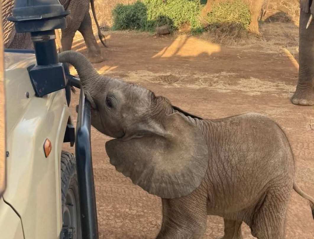 7 Days Tanzania Honeymoon Safari