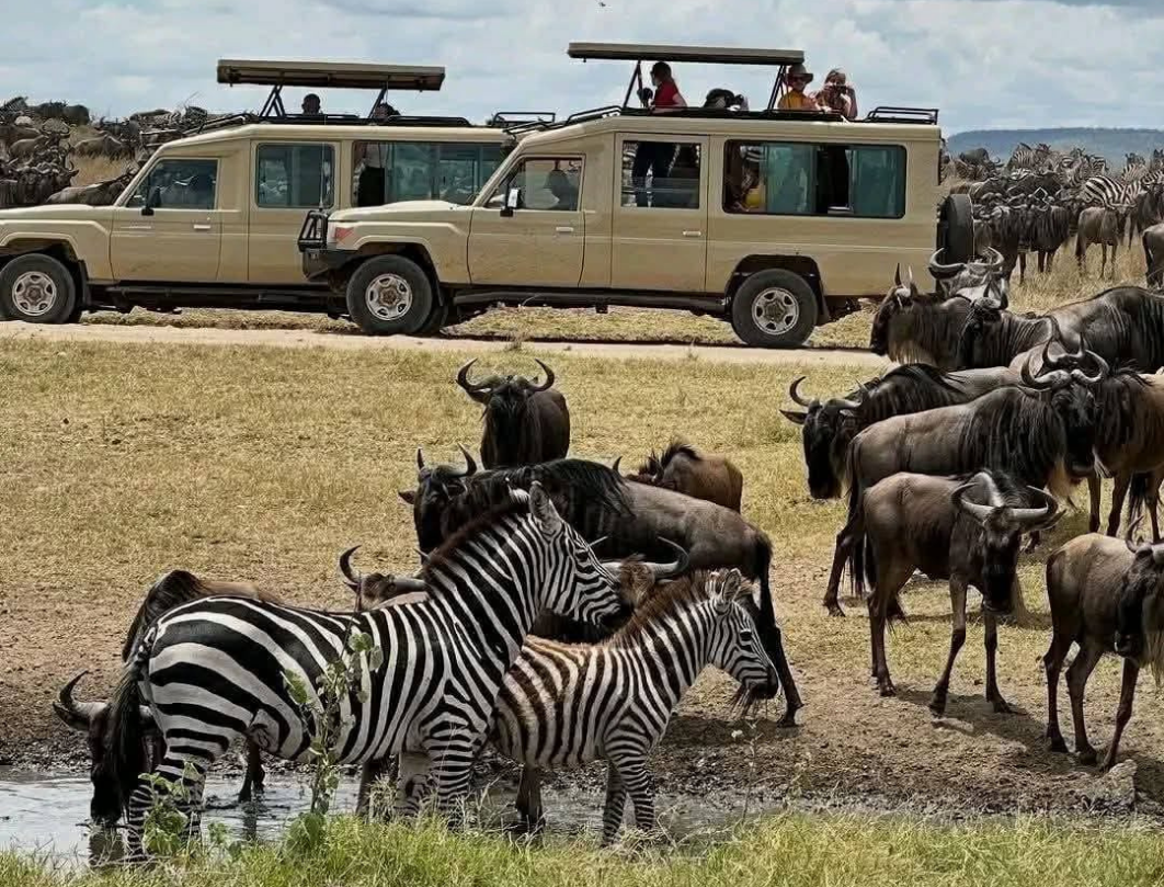 7 Days Tanzania Luxury Safari