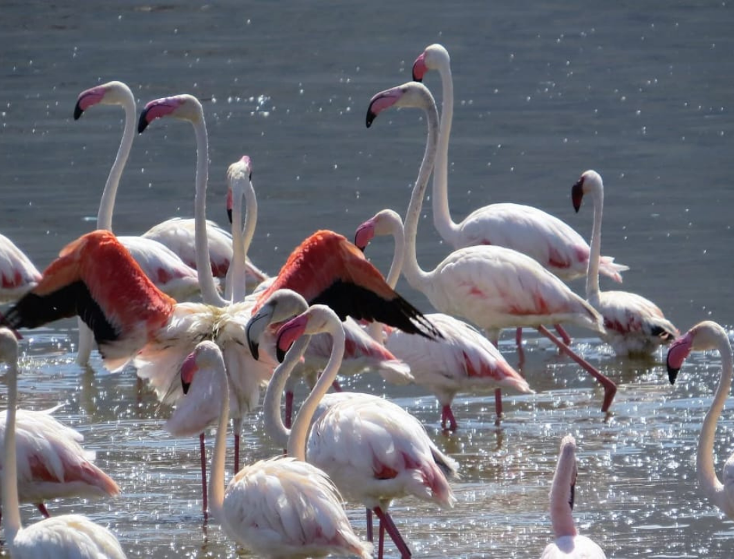 8 Days Explore Kenya Budget Safari