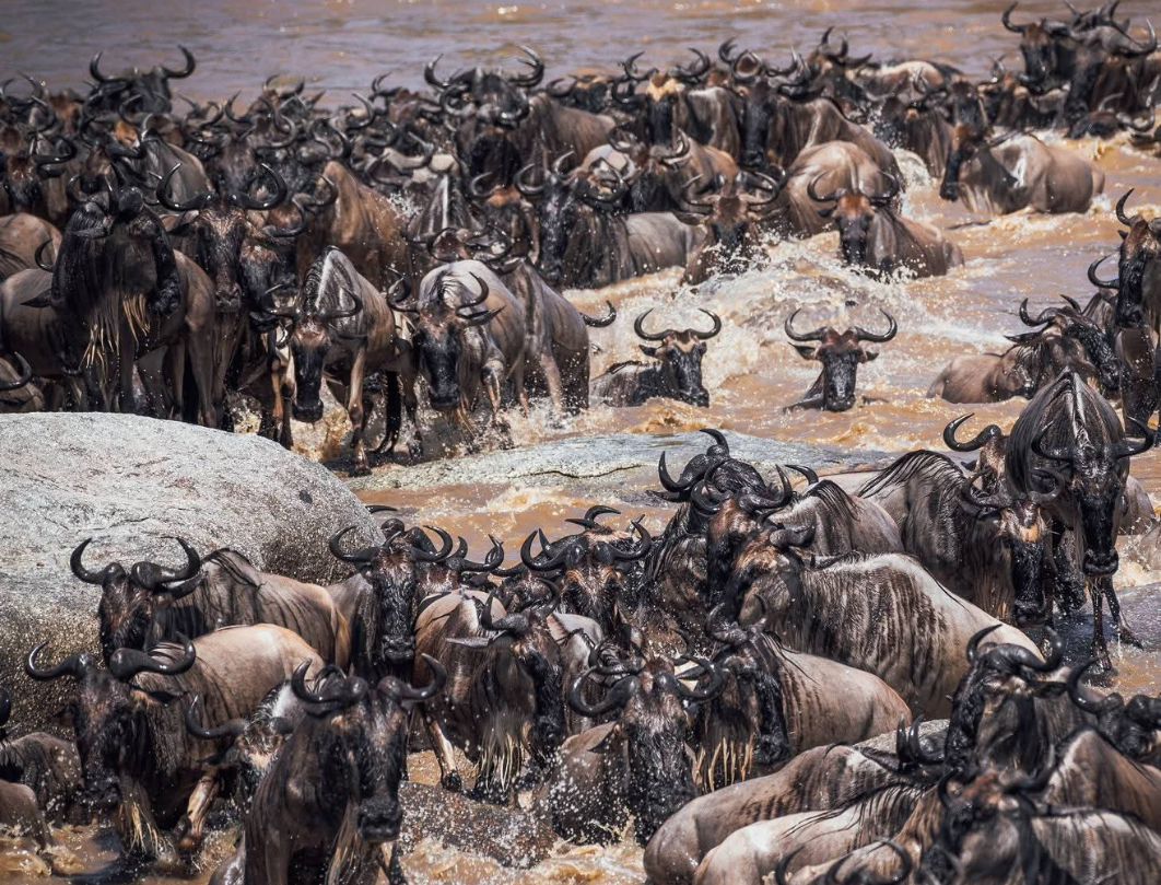 8 Days Tanzania Private Safari