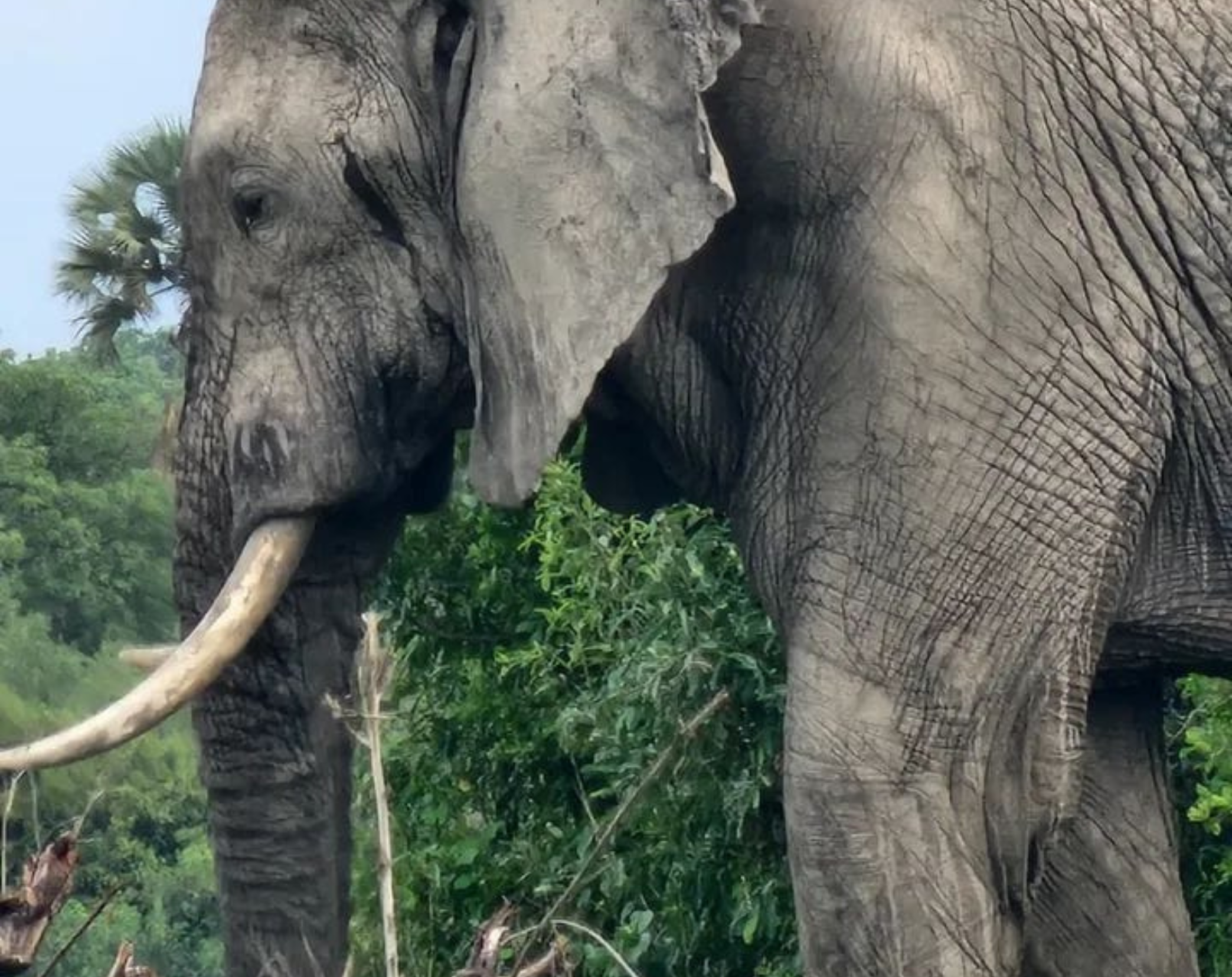 9 Days Tanzania Private Safari