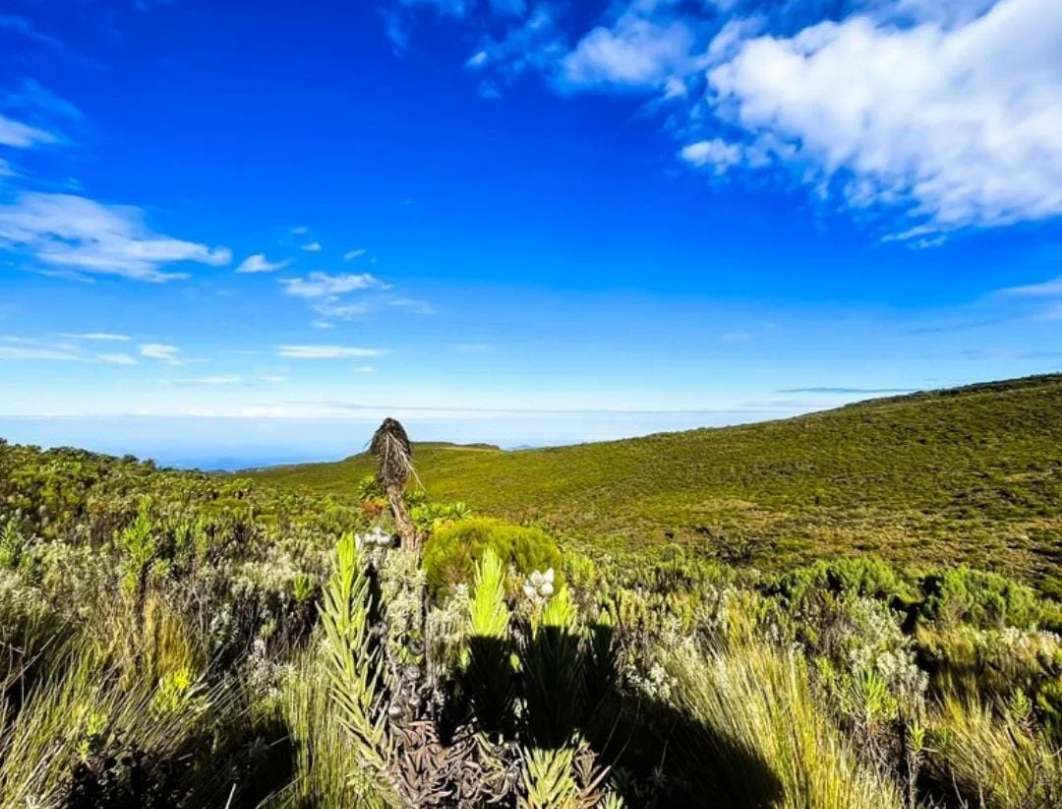 5 Days Mount Elgon Trekking