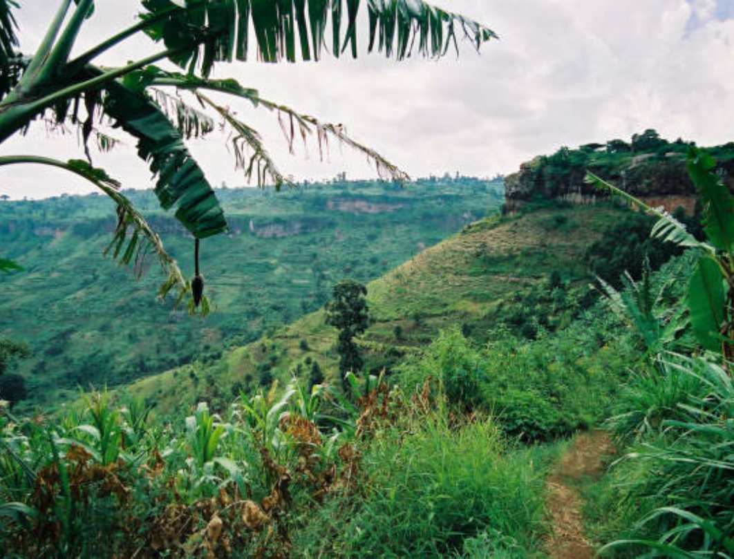 5 Days Mount Elgon Trekking