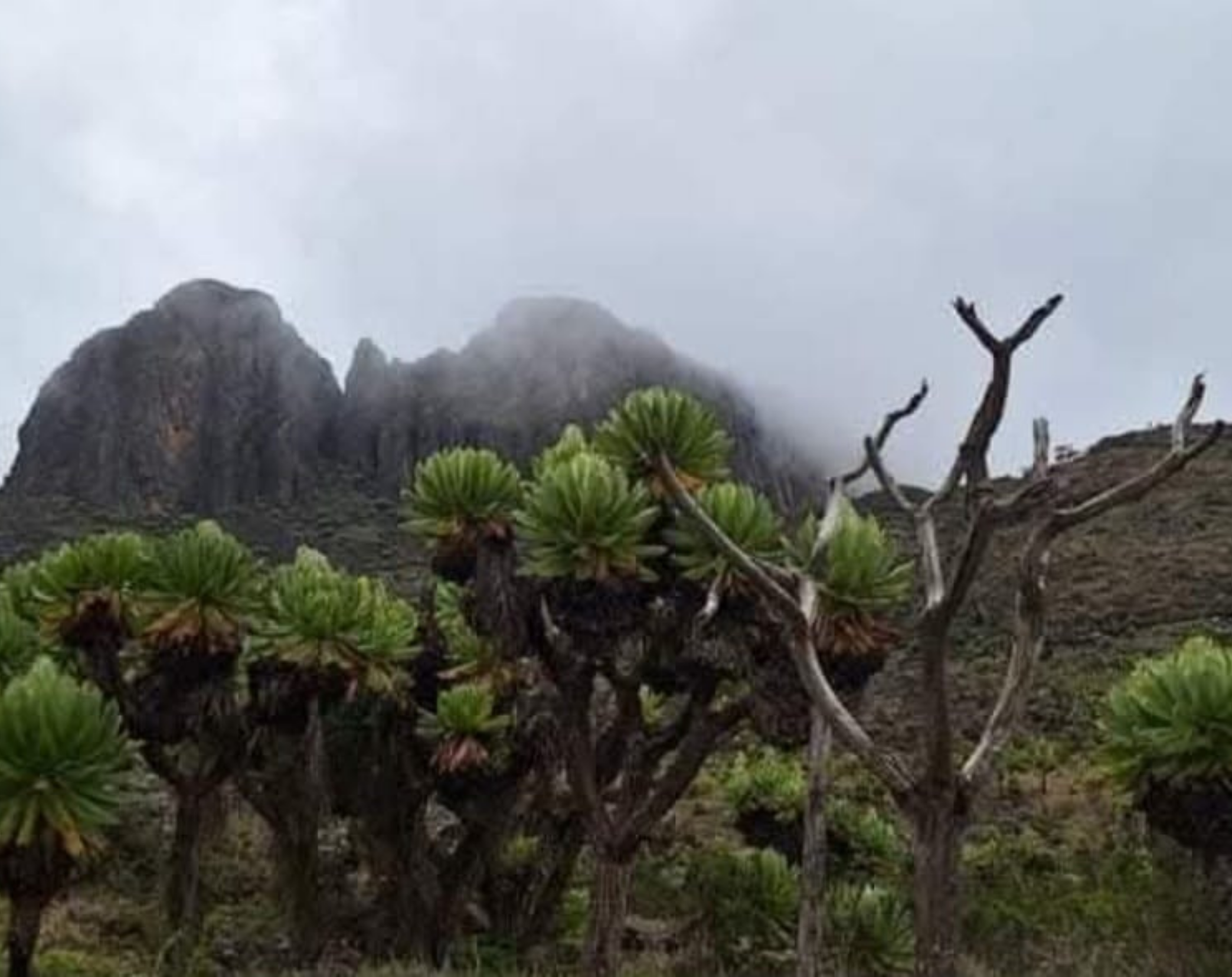 5 Days Mount Elgon Trekking