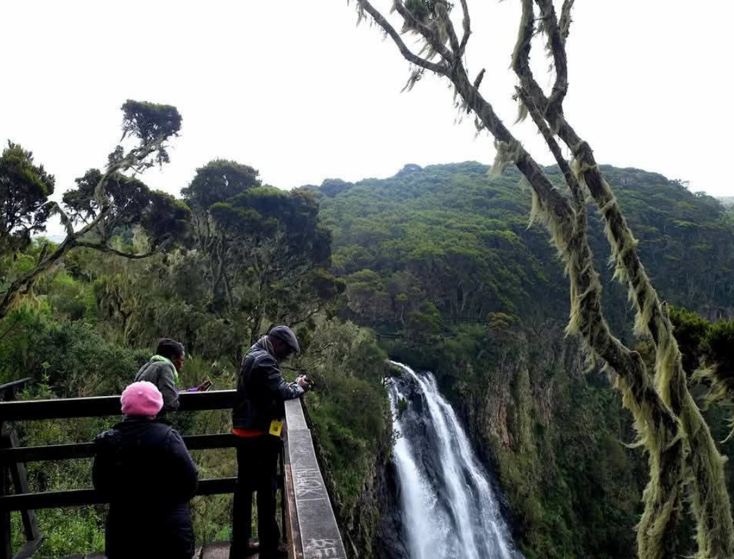 4 Days Nairobi Aberdares Walking Safari