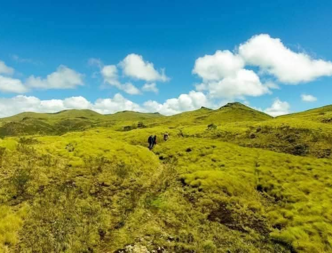 4 Days Nairobi Aberdares Walking Safari