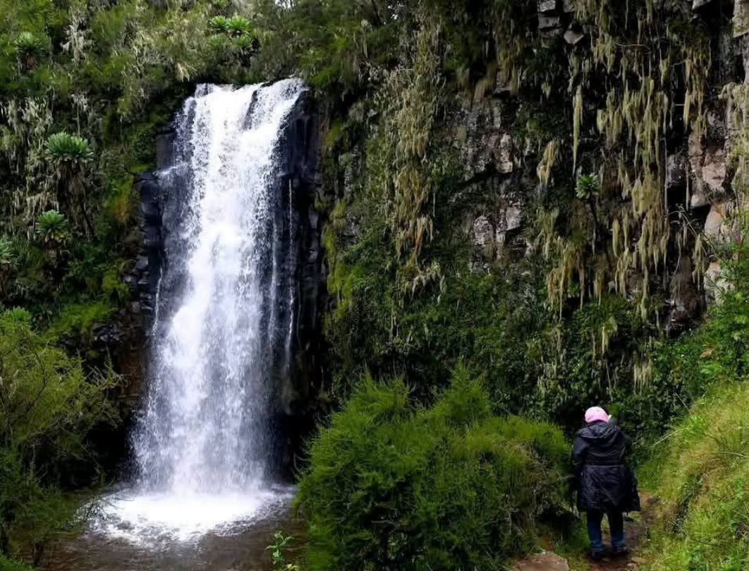 4 Days Nairobi Aberdares Walking Safari