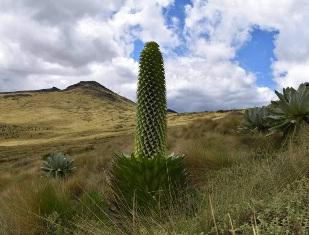 Mount Kenya Chogoria Naromoru Route