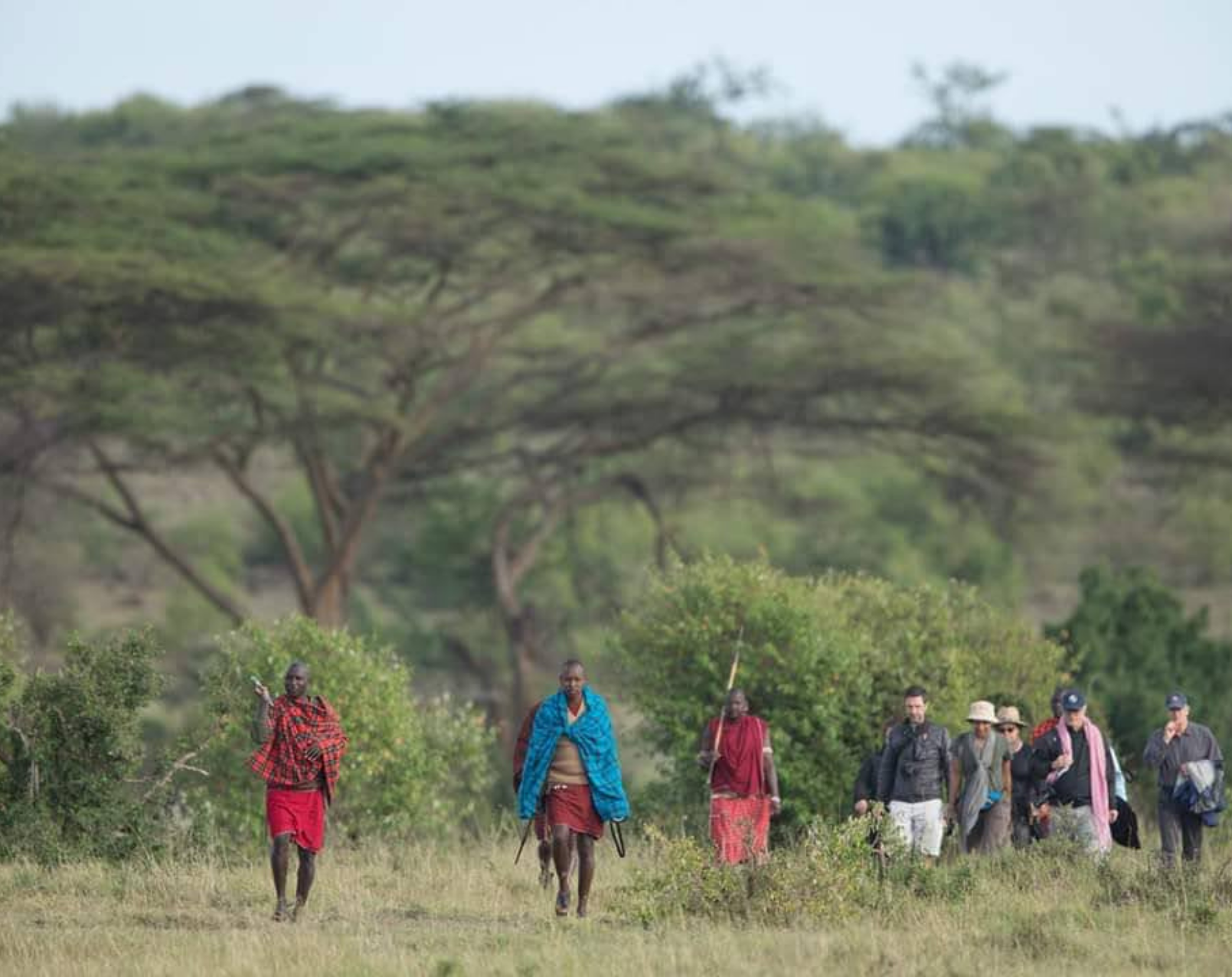 3 Days Footsteps In The Wild Safari