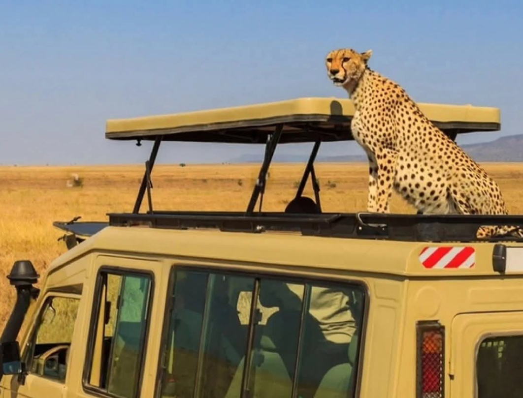 Kenya And Tanzania Combined Safari