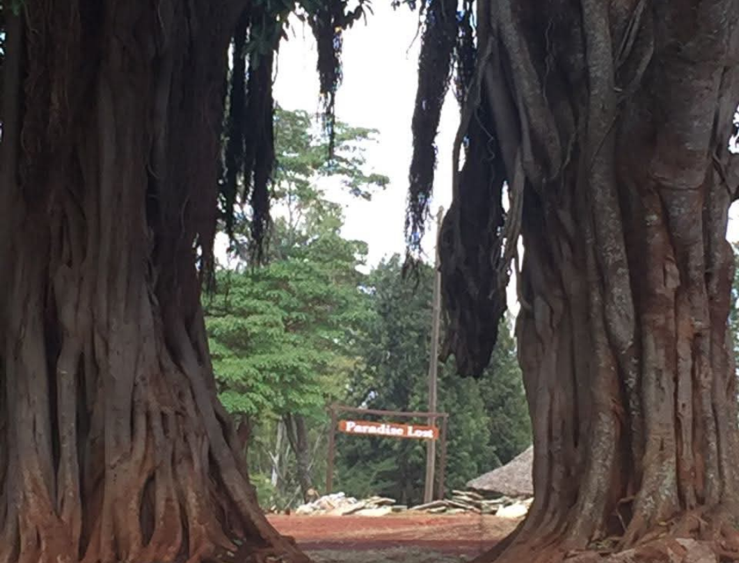 Kiambu Coffee Farm & Paradise Lost Day Tour