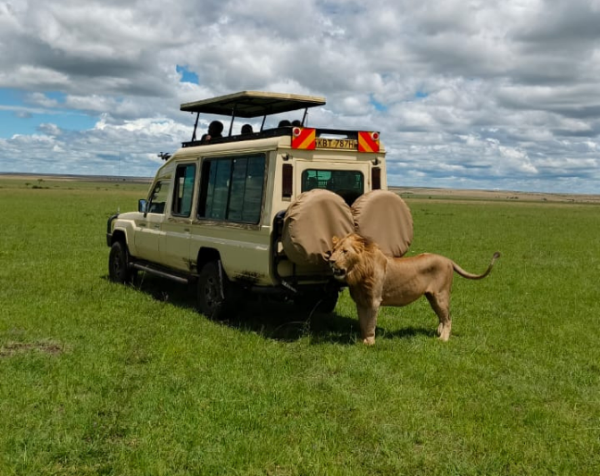 2 Days Maasai Mara Flying Safari