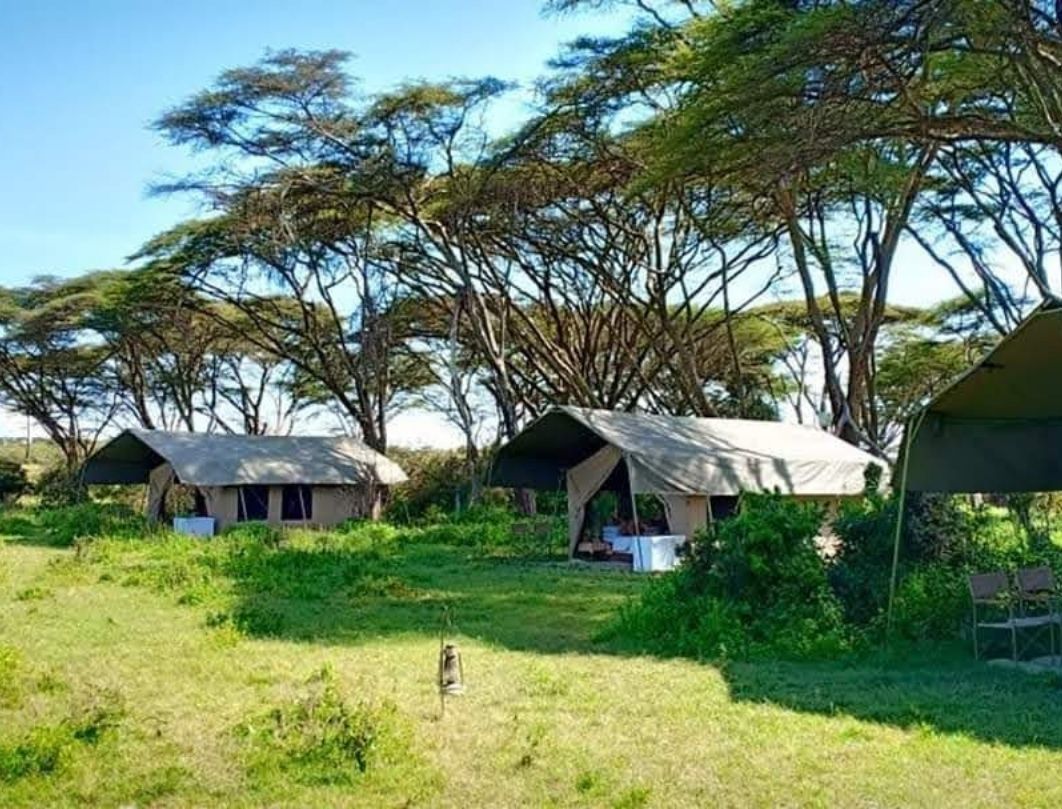3 Days Mara Naboisho Walking Safari