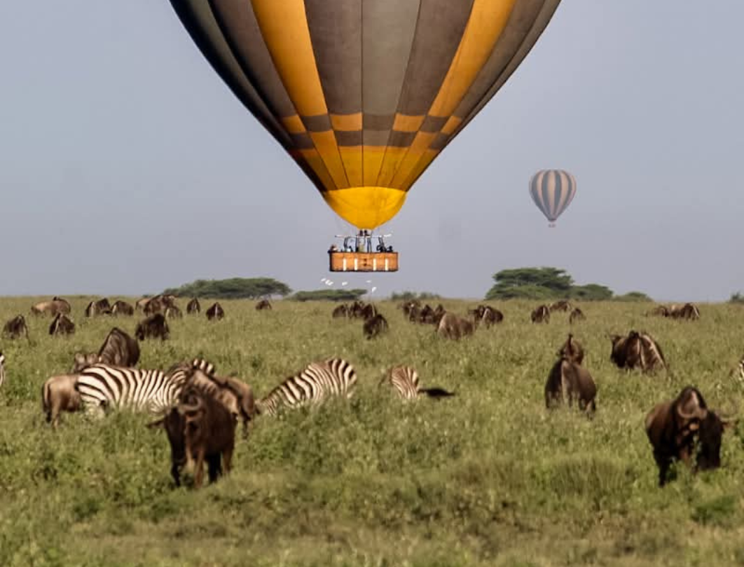 7 Days Amboseli, Lake Naivasha & Maasai Mara Private Safari